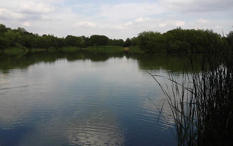 Faraway Lake (Back Lake)