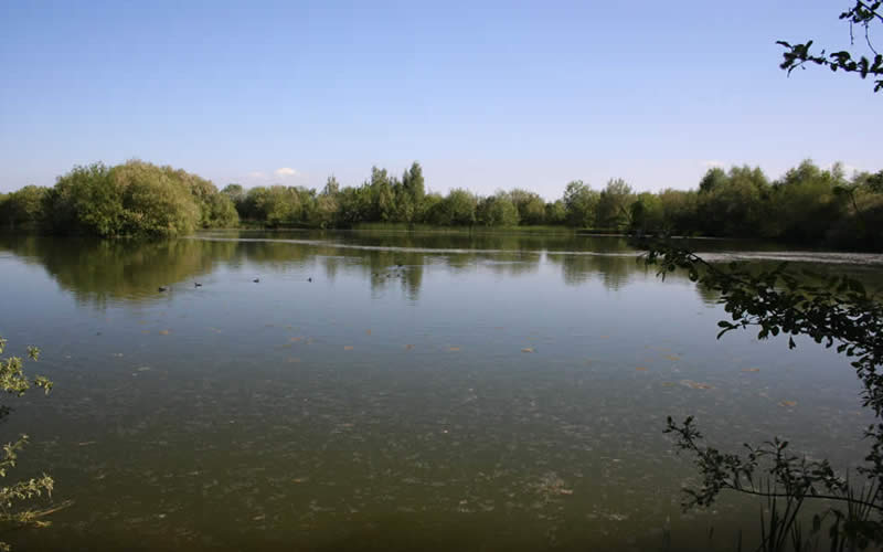 Tillingham Lake (Front Lake)